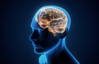 Treating traumatic brain injuries, by an F1 Chief Medical Officer | Professor Peter Hutchinson