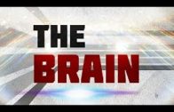 Science-Documentary-Mental-Disorders-Brain-Trauma-Stress-and-Anxiety-a-Documentary-on-the-Brain