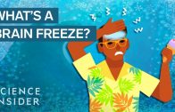 What Really Happens During A Brain Freeze