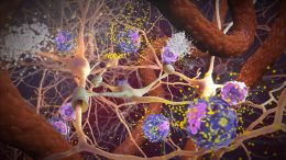 Random42-Science-In-Motion-Macrophages-in-Traumatic-Brain-Injury